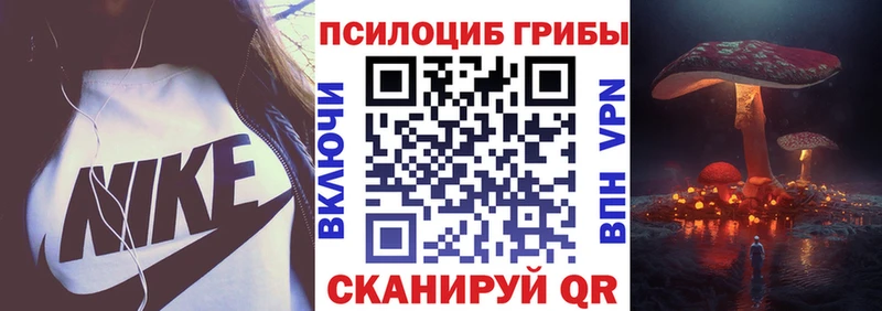Псилоцибиновые грибы ЛСД  Устюжна 